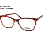 F1705 C12 MARRON ECAILLE 54-17-140 AnaÏs Gvani Acétate + Etui