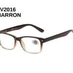 SV2016 - Loupe avec Etui