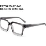 F2750 C6 GRIS CRISTAL 55-17-145 Tom Jackman Acétate + Etui