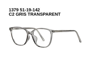 1379 C2 GRIS TRANSPARENT 51-19-142 Glaza Branches flexibles