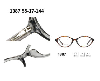 1387 C2 GRIS TRANSPARENT 55-17-144 Glaza Branches flexibles