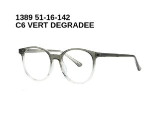 1389 C6 VERT DEGRADEE 51-16-142 Glaza Branches flexibles