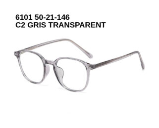 6101 C2 GRIS TRANSPARENT 50-21-146 Glaza Branches flexibles