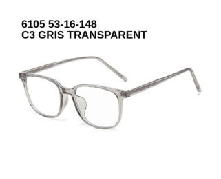 6105 C3 GRIS TRANSPARENT 53-16-148 Glaza Branches flexibles