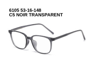 6105 C5 NOIR TRANSPARENT 53-16-148 Glaza Branches flexibles