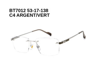 BT7012 C4 ARGENT/VERT 53-17-138 Bruno Botti + Etui