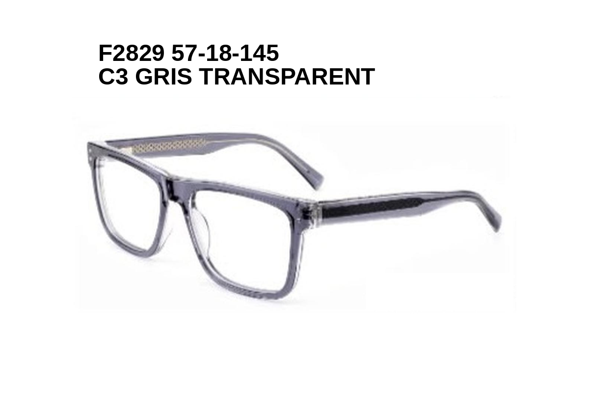 F2829 C3 GRIS TRANSPARENT 57-18-145 Tom Jackman Acétate + Etui